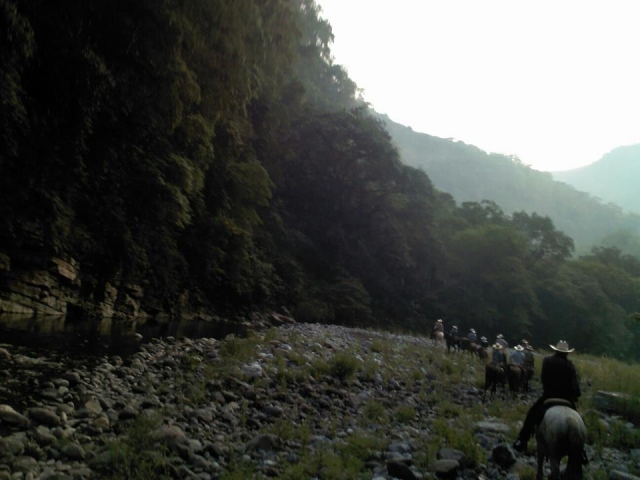 Excursion guiada